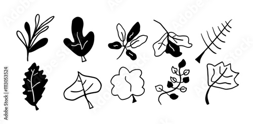 Leaves Hand-Drawn Set | Minimalist Doodle Vector for Botanical and Nature-Inspired Designs