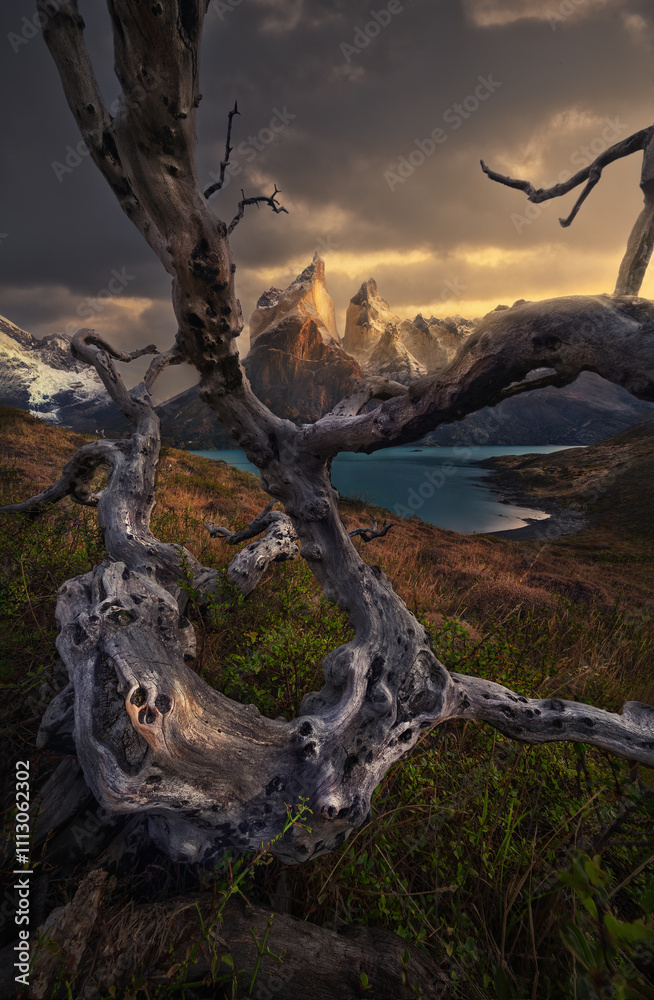 Dramatic Landscape with Twisted Tree and Mountain Peaks Dramatic Landscape with Twisted Tree and Mountain Peaks