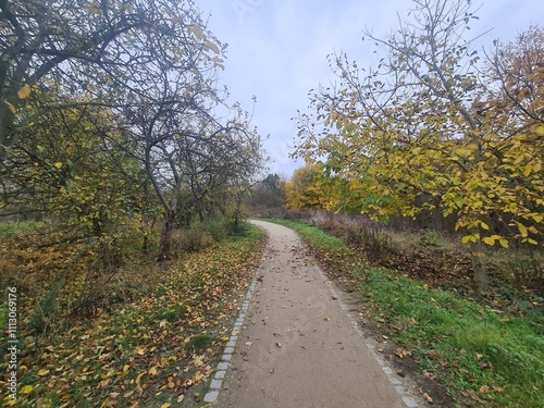 Naturpfad in einem Park in Hellersdorf in Berlin, mit atmosphärischem Himmel