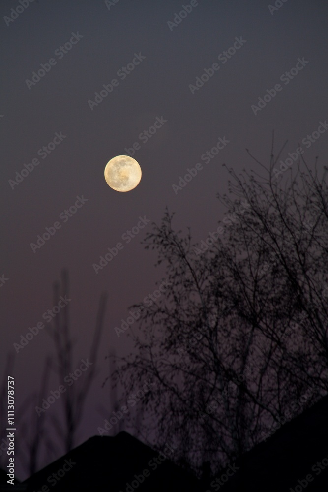 Full moon in the winter Full moon in the winter