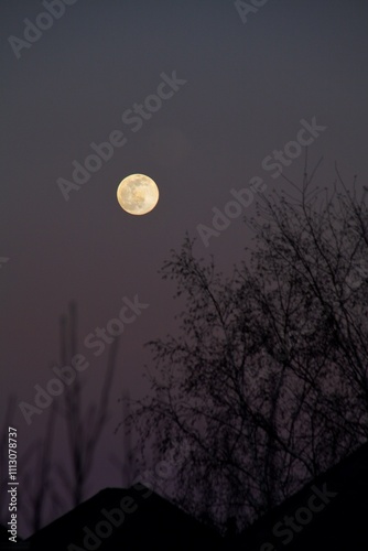 Full moon in the winter
