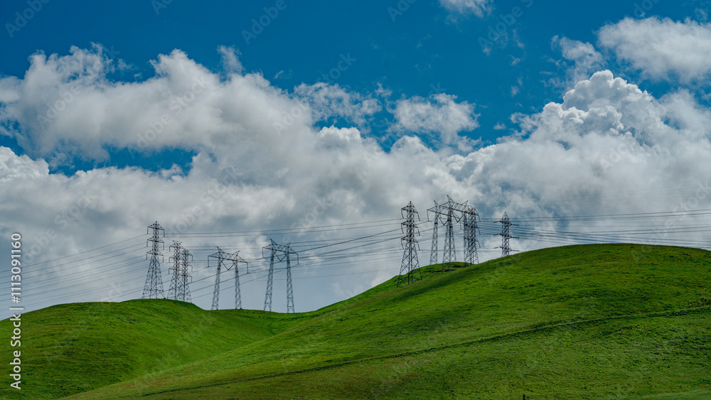 Αυτοκόλλητο APRIL 2024, CENTRAL CALIFORNIA, USA - multiple electrical towers and green sprin