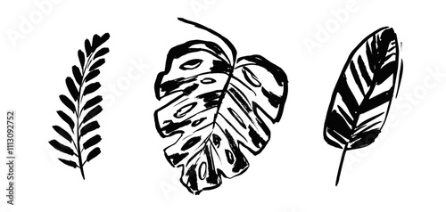 Artistic set of grunge textured vector black ink hand dawning tropical leaves, fern, palm, monstera leaf. Sketch paintbrush botanical elements for textile pattern design, greeting card, logo