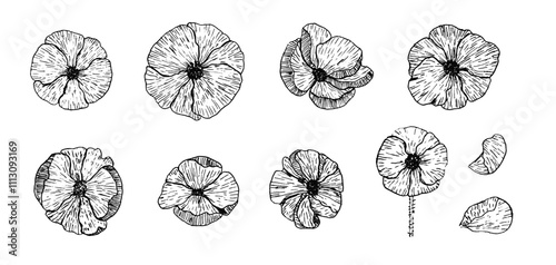 Engraved had drawing viola pansies flowers set. Black ink linear sketch violet flower blossoms and petals for greeting card design, sticker, logo, print, pattern design