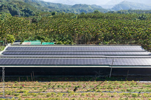 Solar-Powered Mushroom Farm Pioneers Sustainable Agriculture photo