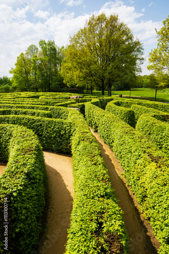 Winding Paths Through a Lush Hedge Maze