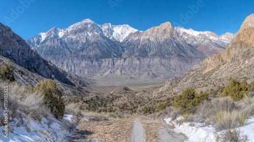 A parched desert landscape with cracked earth and dying vegetation portrays the severity of prolonged droughts due to climate change.