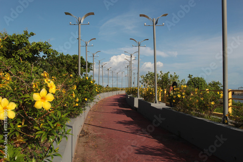 The seaside bike path lined with yellow flowers, on the pier in the city of São José de Ribamar, state of Maranhão, northeast Brazil