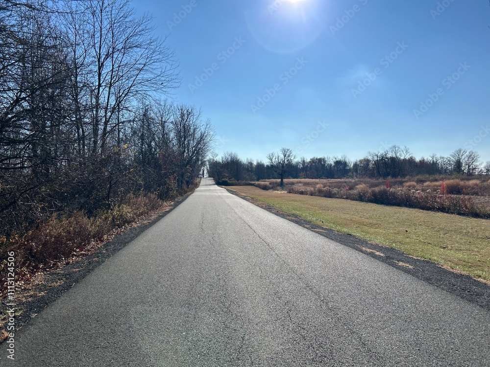 Fototapeta premium country road in autumn
