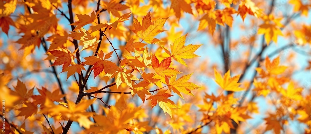 Vibrant yellow and orange leaves rustling in the breeze of autumn , colorful scenery, vibrant orange, autumn breeze Vibrant yellow and orange leaves rustling in the breeze of autumn , colorful scenery, vibrant orange, autumn breeze