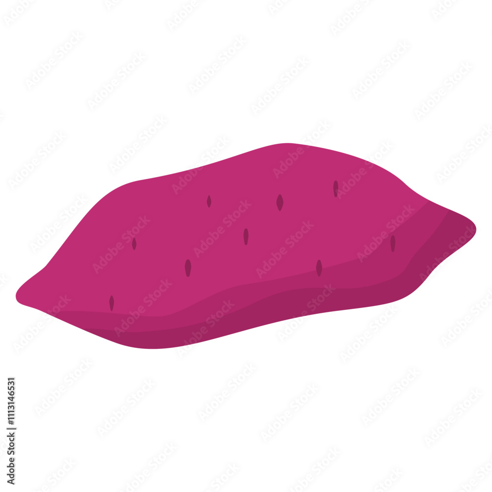 sweet potato illustration sweet potato illustration