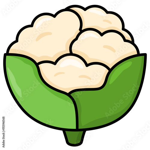 cauliflower illustration