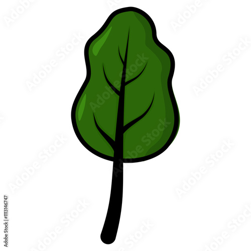spinach illustration