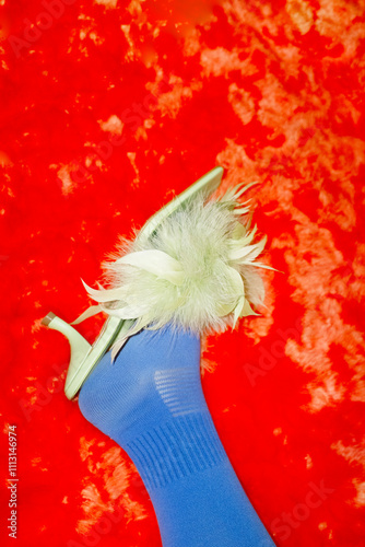 Fluffy fashion style beautiful feather heel on a furry background photo