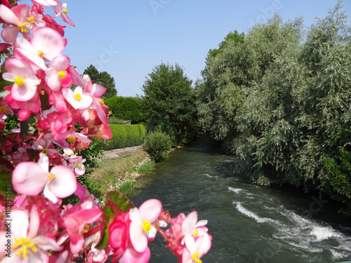 Pas de Calais, ville de Montreuil sur Mer , rivière La Canche  photo