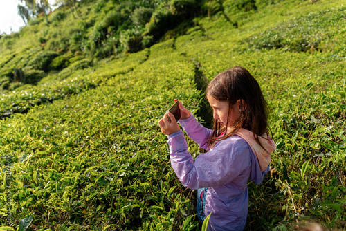 Young Girl Green Tea Plantation, travel photo