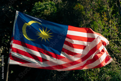 Vibrant Malaysian Flag in Nature photo