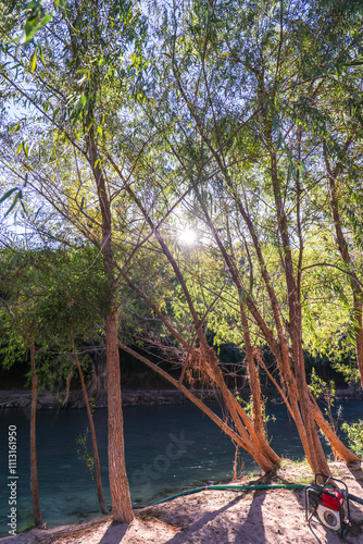 hermoso árbol en rio, arroyo seco jalapa de serra en Queretaro. Puente que te lleva al rio, arquitectura y construcción. photo