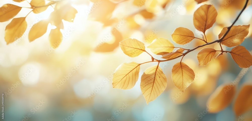 Golden autumn leaves softly glowing in sunlight, with blurred backgrounds for a warm seasonal atmosphere. Golden autumn leaves softly glowing in sunlight, with blurred backgrounds for a warm seasonal atmosphere.