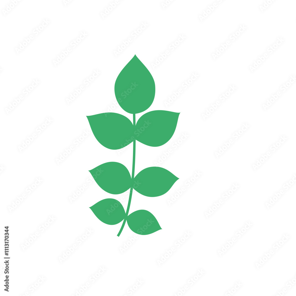 Obraz premium Plant Flower Botanical