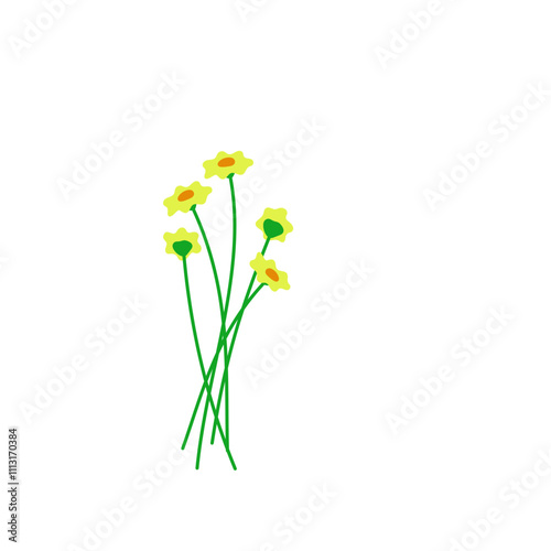 Plant Flower Botanical