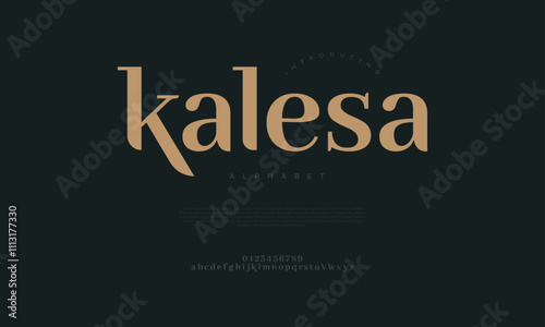 Kalesa typography beauty fashion elegant minimalist serif italic fonts decorative wedding vintage retro logos. Minimal luxury font alphabet logo. Vector illustration