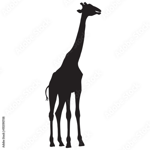 Silhouette of a Giraffe Standing in the Savannah, African Wildlife