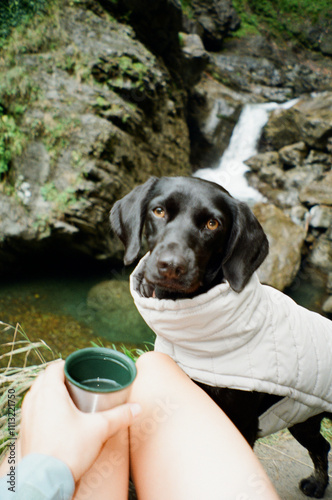 A person relaxing by a waterfall with a cozy dog in a serene setting photo