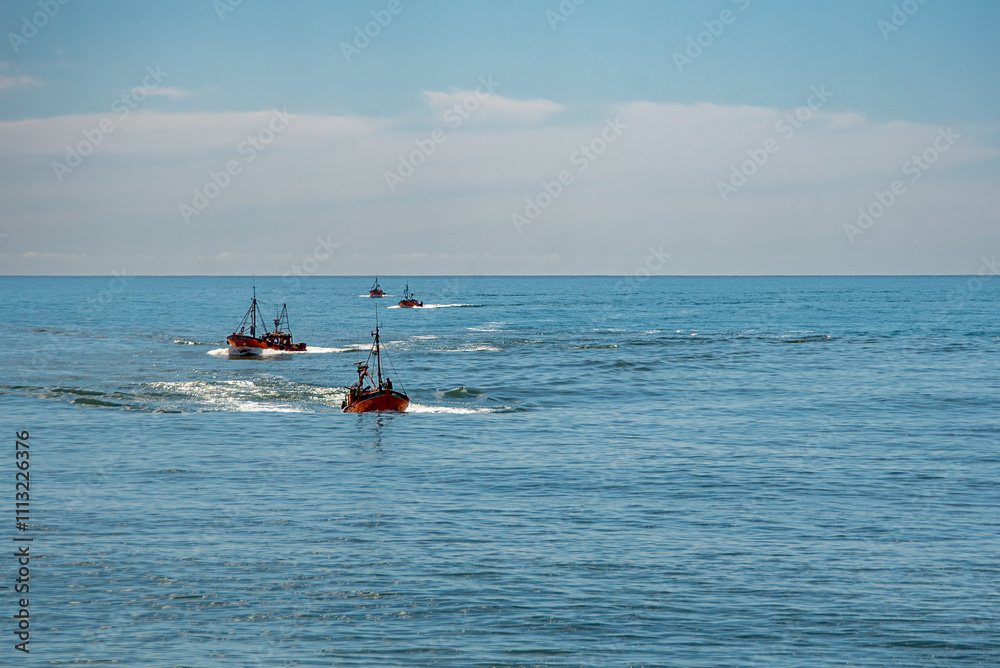 Fototapeta premium a fleet of small fishing boats sailing off the coast of Mar del Plata
