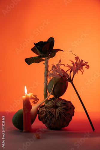 An artistic display featuring a variety of fruits. photo