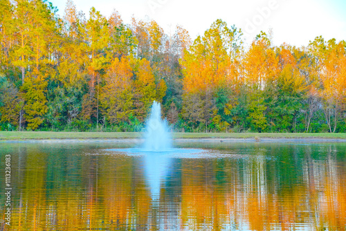 The winter pond sun set landscape in New Tampa area, Florida	