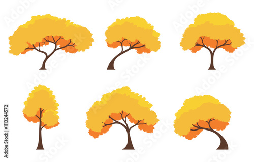 Autumn tree set. Collection of tree isolated on a white background. Each species of trees. A tree with orange leaves. Nature or healthy lifestyle topics. Vector illustration flat design style