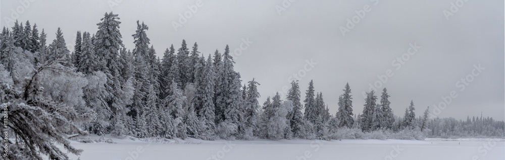 Panorama of northern forest covered in heavy snow and a frozen lake and gray sky
