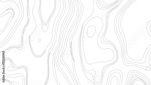 abstract wavy background. topographic contour background. contour lines background. Topographic map contour background.