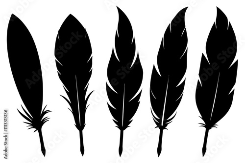 Set of Bird feather silhouette vector icon illustration.