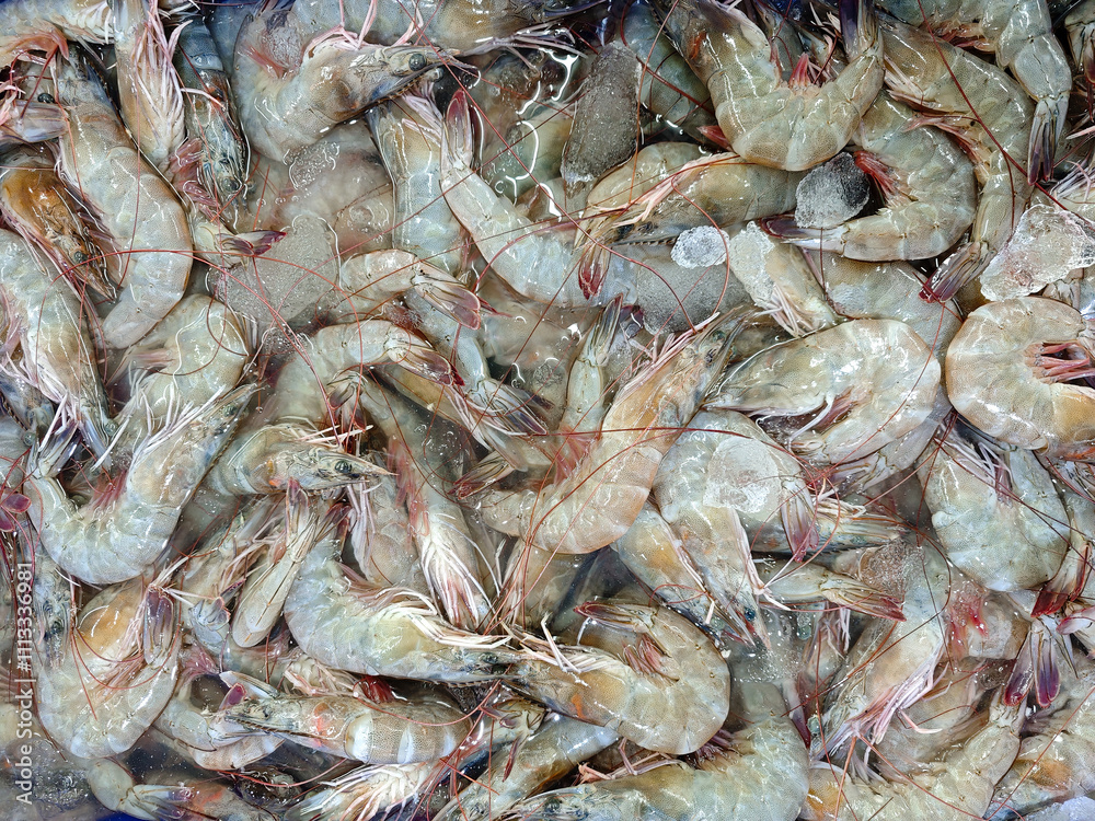 Fresh Shrimp Piled Together in a Clear Container on Display Fresh Shrimp Piled Together in a Clear Container on Display