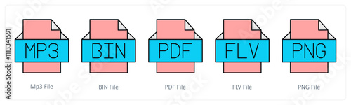 A set of files icons as mp3 file, bin file, pdf file