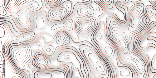 Topographic canyon geometric map relief texture with curved layers and shadow. abstract White background with a beautiful pattern, Topographic contour lines vector map seamless pattern vector.	
 photo