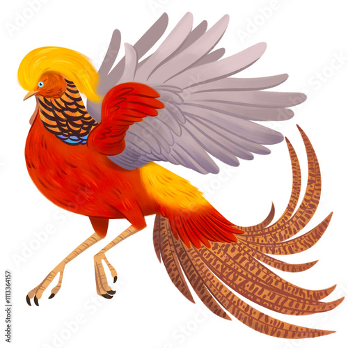 Ave Faisán Dorado de China Chrysolophus pictus