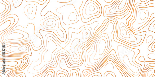 Topographic canyon geometric map relief texture with curved layers and shadow. abstract White background with a beautiful pattern, Topographic contour lines vector map seamless pattern vector.	
 photo