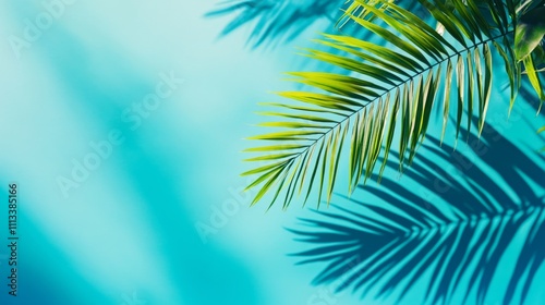 Green palm tree branch in fan formation against bright blue background, shadow casting contrast, top-down perspective highlighting vibrant leaves