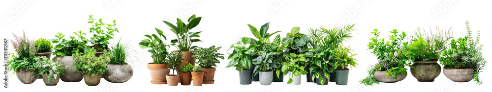 PNG Outdoors garden plants set on transparent background PNG Outdoors garden plants set on transparent background
