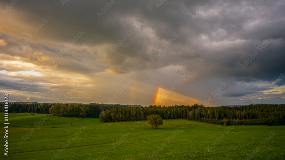 Fototapeta premium ein Regenbogen mit dramatisch bewölktem Himmel