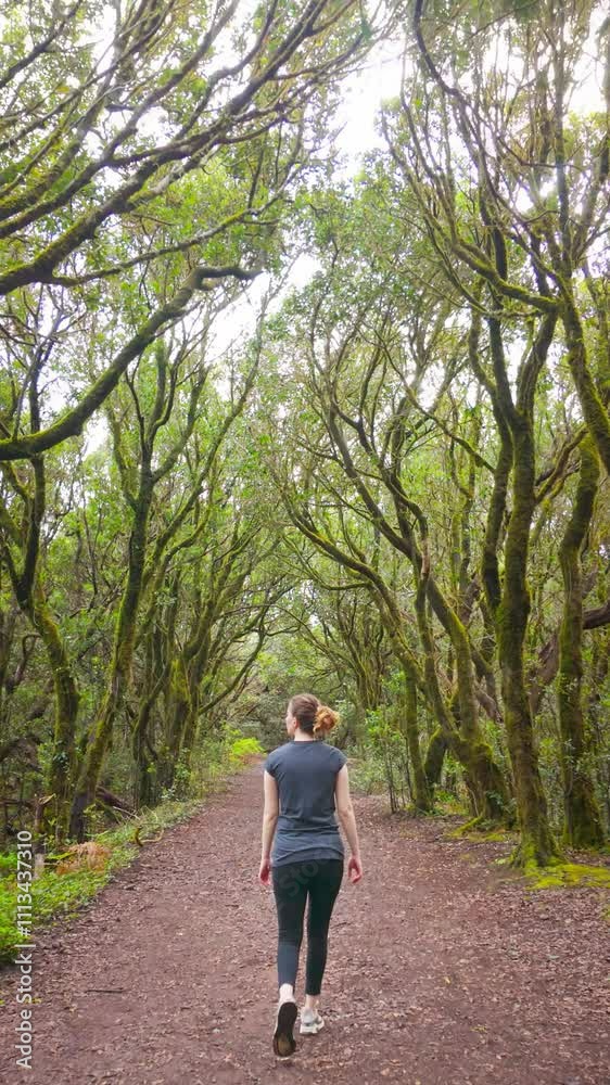 Woman strolling along a sunlit forest path surrounded by lush greenery Woman strolling along a sunlit forest path surrounded by lush greenery