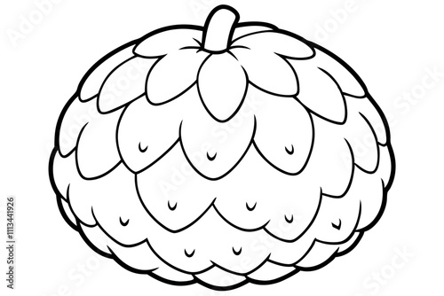 Vector hand drawn set of cherimoya. Sugar apple illustration