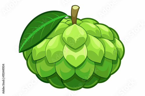 Vector hand drawn set of cherimoya. Sugar apple illustration