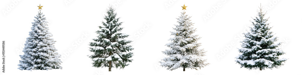 PNG Christmas tree set on transparent background PNG Christmas tree set on transparent background