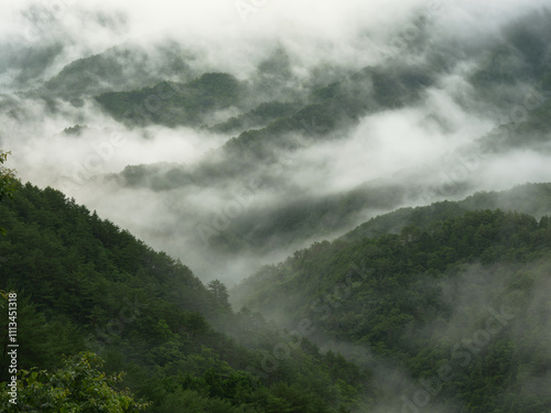 霧の出る山