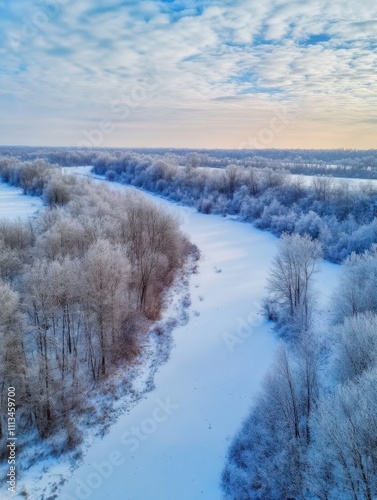 aerial view of winter forest covered in snow. drone photography - panoramic image