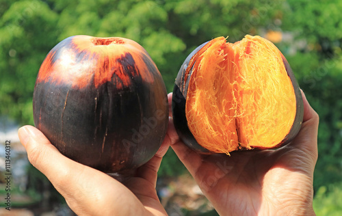 Fibrous Pulp which Covers the Seeds inside Palmyra Palm or Toddy Palm Fruit photo